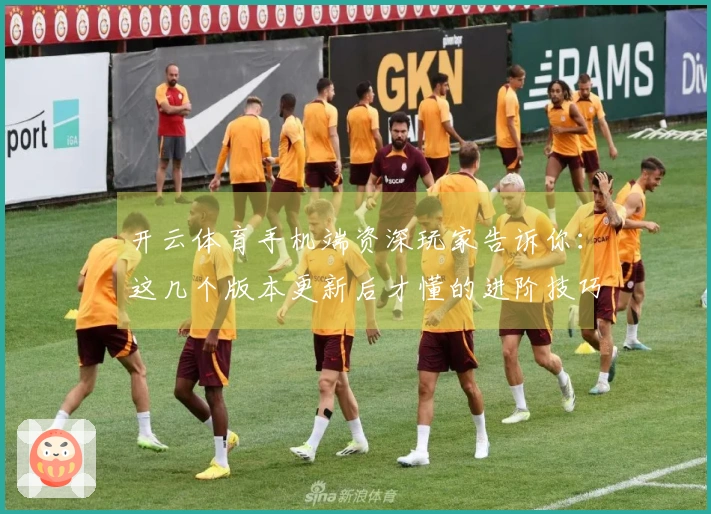 开云体育手机端资深玩家告诉你：这几个版本更新后才懂的进阶技巧，收益大涨！