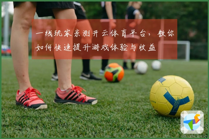 一线玩家亲测开云体育平台，教你如何快速提升游戏体验与收益