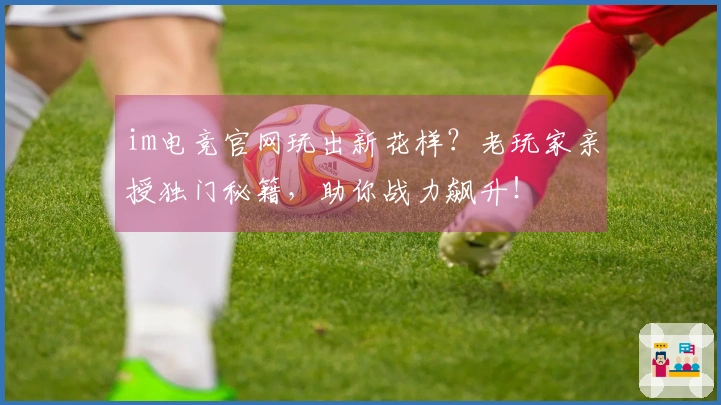 im电竞官网玩出新花样？老玩家亲授独门秘籍，助你战力飙升！