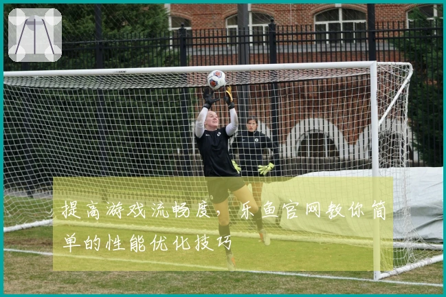 提高游戏流畅度，乐鱼官网教你简单的性能优化技巧